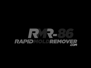 RMR-86 RAPIDMOLDREMOVER.COM logo