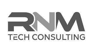 RNM TECH CONSULTING logo