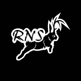 RNS logo