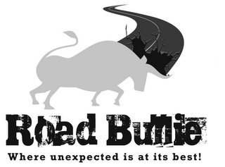 ROAD BULLIE WHERE UNEXPECTED IS AT ITS BEST! logo