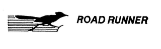 ROAD RUNNER logo