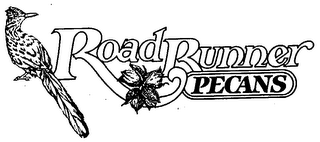 ROAD RUNNER PECANS logo
