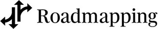 ROADMAPPING logo