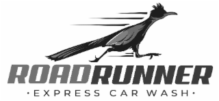 ROADRUNNER EXPRESS CAR WASH logo