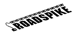 ROADSPIKE logo