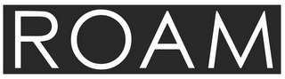 ROAM logo