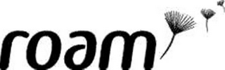 ROAM logo