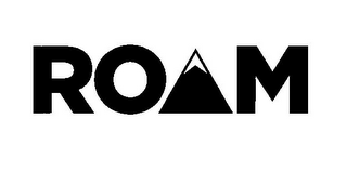 ROAM logo