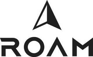 ROAM logo