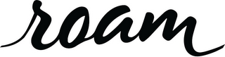 ROAM logo