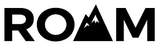 ROAM logo