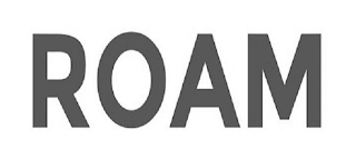 ROAM logo