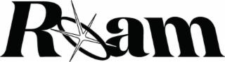 ROAM logo