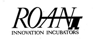 ROAN INNOVATION INCUBATORS logo