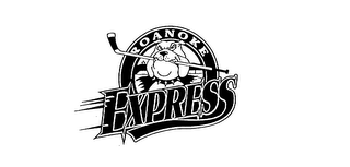ROANOKE EXPRESS logo