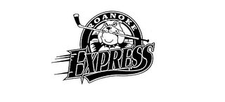 ROANOKE EXPRESS logo