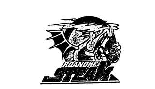 ROANOKE STEAM logo