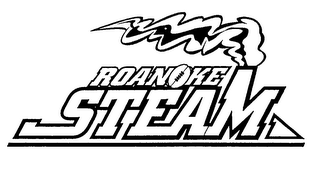 ROANOKE STEAM logo