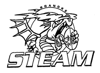 ROANOKE STEAM logo