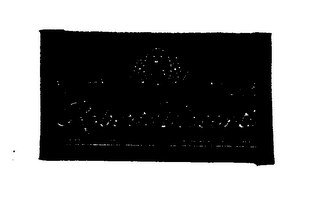 ROBERTO VISCONTI logo