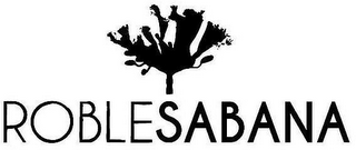 ROBLESABANA logo