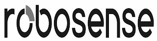 ROBOSENSE logo