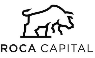 ROCA CAPITAL logo