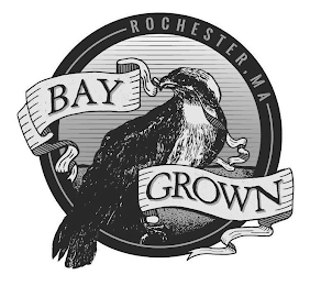 ROCHESTER, MA BAY GROWN logo