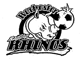 ROCHESTER RAGING RHINOS logo