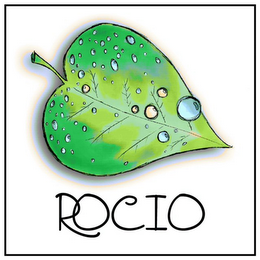 ROCIO logo