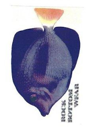 ROCK BOTTOM WEAR logo