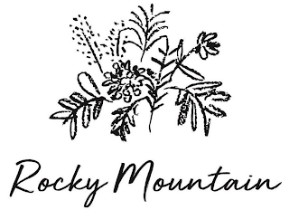 ROCKY MOUNTAIN logo