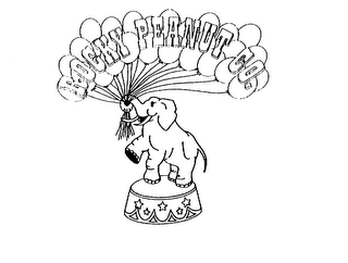 ROCKY PEANUT CO. logo