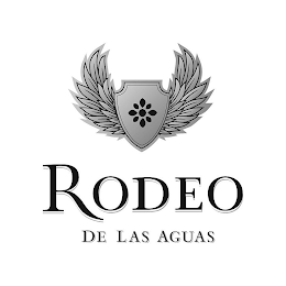 RODEO DE LAS AGUAS logo