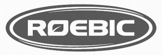 ROEBIC logo