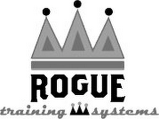 ROGUE TRAINING SYSTEMS logo