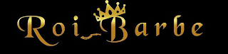 ROI DE LE BARBE logo