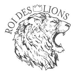 ROI DES LIONS logo
