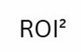 ROI2 logo