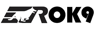ROK9 logo
