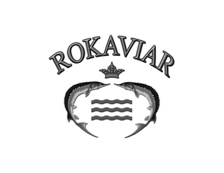 ROKAVIAR logo