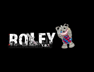 ROLFY T.B. NEVER GIVE UP 2019 R TW PAIN FAMILY DEPRESSION CARE FOR RUNNING LOVE FOR logo