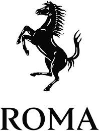 ROMA logo
