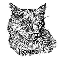 ROMEO logo