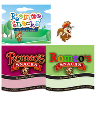 ROMEO'S SNACKS BE SMART. EAT RIGHT. HEALTH · NUTRITION · EDUCATION · MUSIC · ART · FAMILY logo