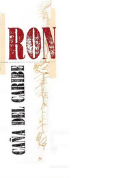 RON CAÑA DEL CARIBE logo