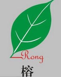 RONG logo