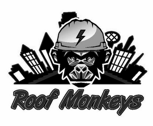 ROOF MONKEYS logo