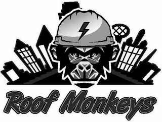 ROOF MONKEYS logo