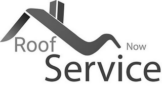 ROOF SERVICE NOW logo